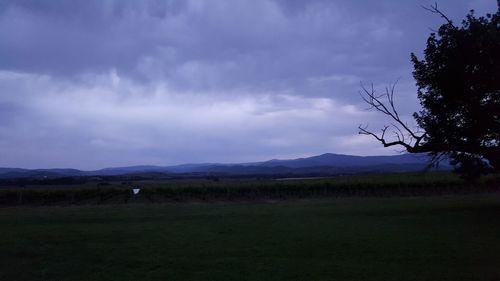 Silhouette of trees on field against cloudy sky