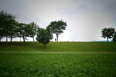 Scenic view of grassy field against sky