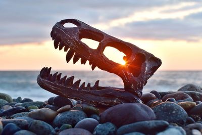 Close-up of rocks on beach against sky during sunset