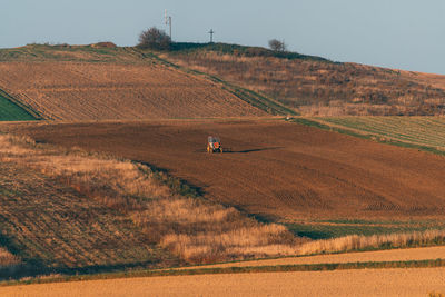 Scenic view of agricultural field against sky