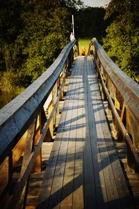 Footbridge amidst trees in forest