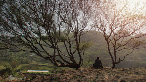 Man sitting on bare tree against sky