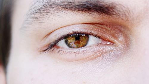 Close-up portrait of human eye