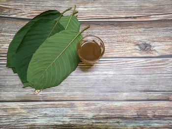 High angle view of green leaves on table