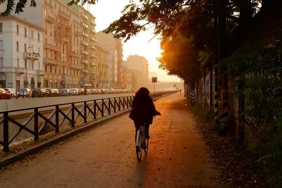 Rear view of woman cycling on road in city during sunny day