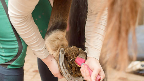 In stable is a young rider with her race horse, a hanoverian. she cleans the hooves