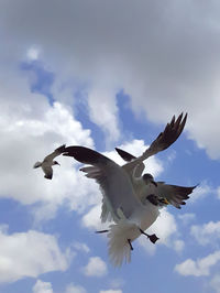 Low angle view of birds flying against cloudy sky