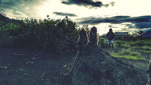 Panoramic view of landscape against sky