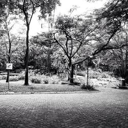 Empty road along trees