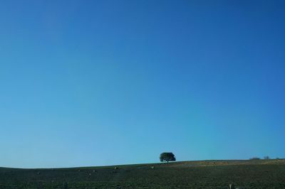 Scenic view of clear blue sky