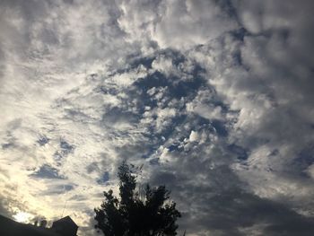 Low angle view of trees against cloudy sky