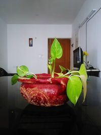 Close-up of vegetables on table at home