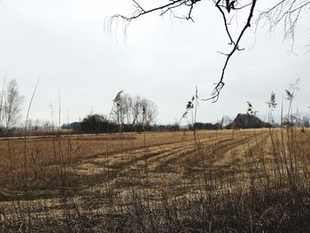 Scenic view of field against sky