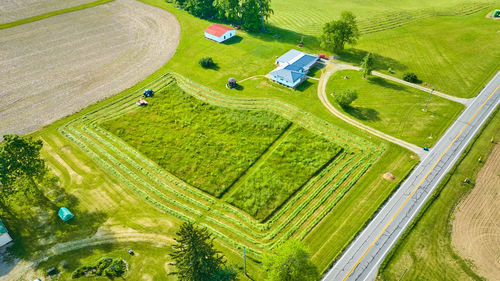 High angle view of agricultural field