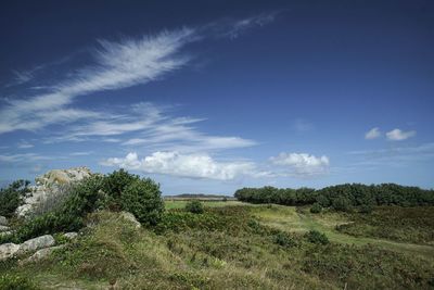 Scenic view of field against sky