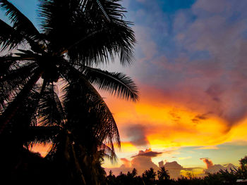 Low angle view of silhouette palm tree against romantic sky
