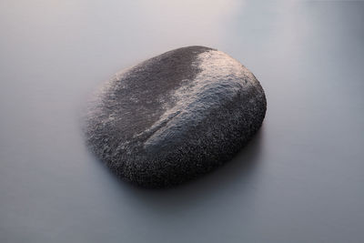 High angle view of black coffee on rock against white background