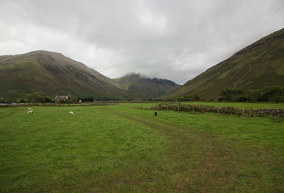 Scenic view of green landscape and mountains against sky