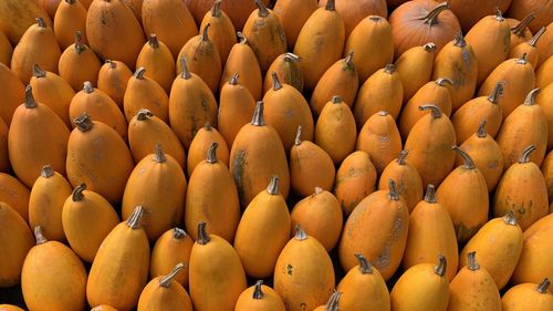 Full frame shot of fruits for sale at market stall