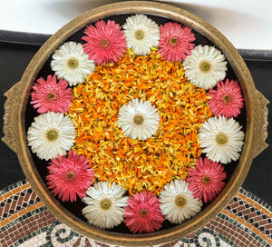 High angle view of pink and white flowers