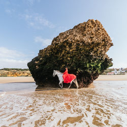 Side view of stylish female in red dress riding purebred horse on coast against stormy ocean