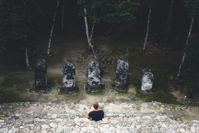 Rear view of man sitting on rock in forest