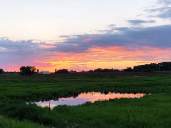 Scenic view of field against sky during sunset