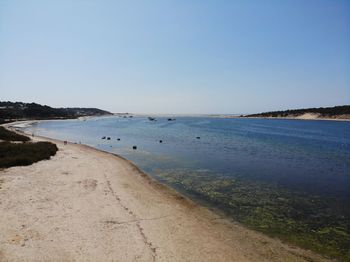 Scenic view of sea against clear sky