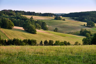 Scenic view of field against sky