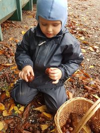 High angle view of boy on field during autumn