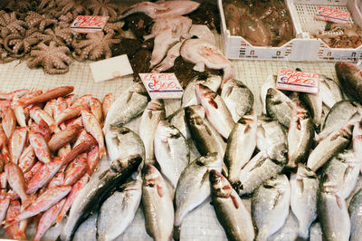 High angle view of fish for sale at market stall