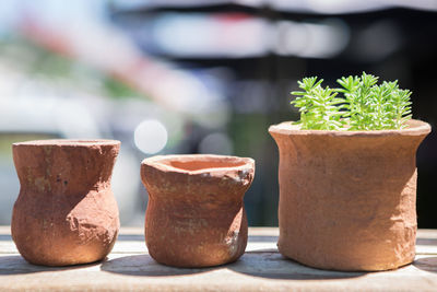 Close-up of potted plant on table