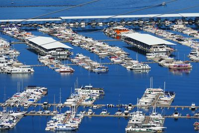 High angle view of sailboats moored at harbor