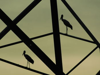 Low angle view of bird perching on metal against sky