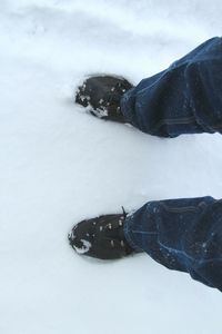 Low section of person standing on snow covered landscape