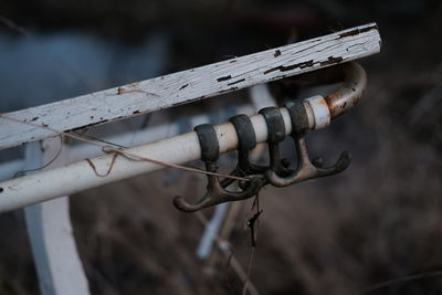 Close-up of hooks