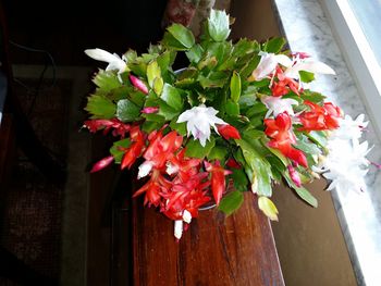 Close-up of flowers