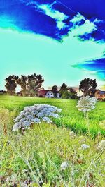 Scenic view of field against cloudy sky