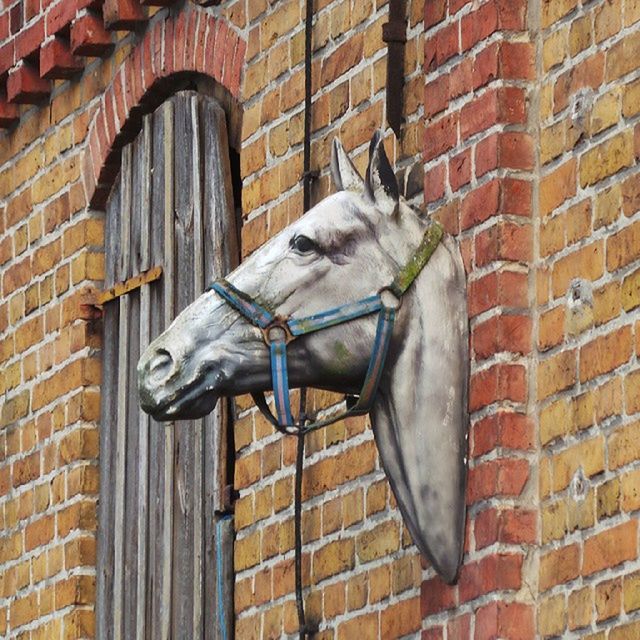 animal themes, one animal, building exterior, built structure, architecture, brick wall, low angle view, animals in the wild, bird, wall - building feature, wildlife, outdoors, no people, horse, day, mammal, domestic animals, window, perching, metal