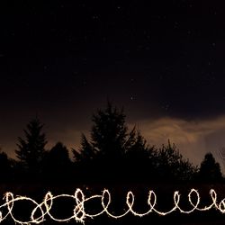 Low angle view of silhouette trees against sky at night