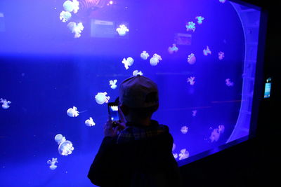 Rear view of man swimming in aquarium