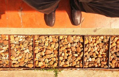 Low section of shoes on log