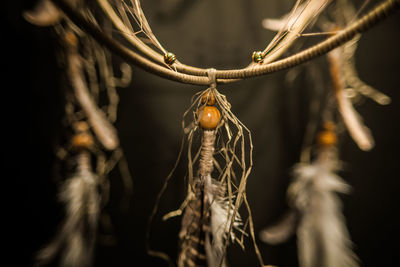 Close-up of dry leaf hanging on rope