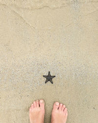 Low section of person standing on sand