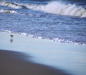 Waves splashing on shore