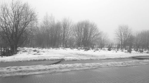 Bare trees on snow covered landscape