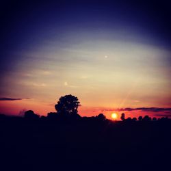 Silhouette trees against sky during sunset