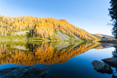 Scenic view of lake by trees against clear sky