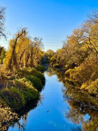 Scenic view of lake at discovery park sacramento against clear blue sky