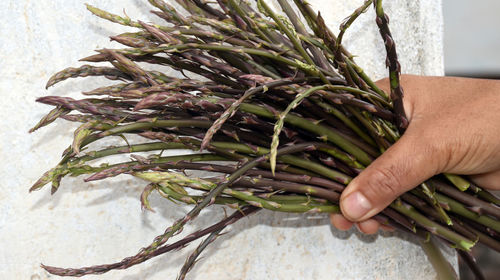 Close-up of hand holding ice cream